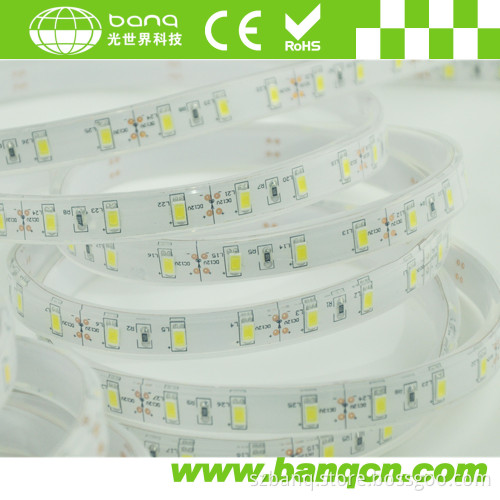 Most Bright SMD5630 LED Strips Waterproof for Outdoor Use (BQ-SE-Y30W-5630)